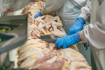 Workers In Poultry Processing Plant