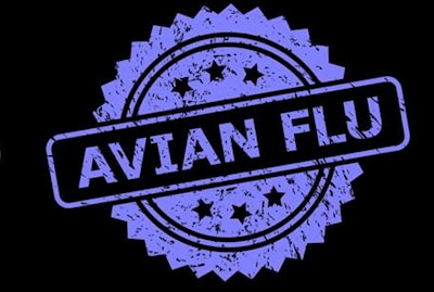 Avian Flu Logo On Black
