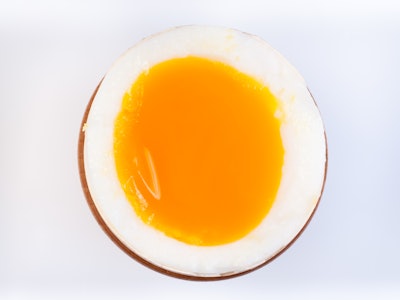 Egg Soft Boiled