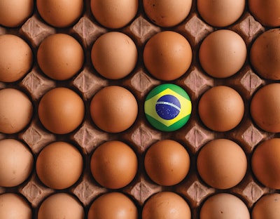 Demand for Brazilian egg exports remains strong, strengthened by production difficulties in overseas markets.