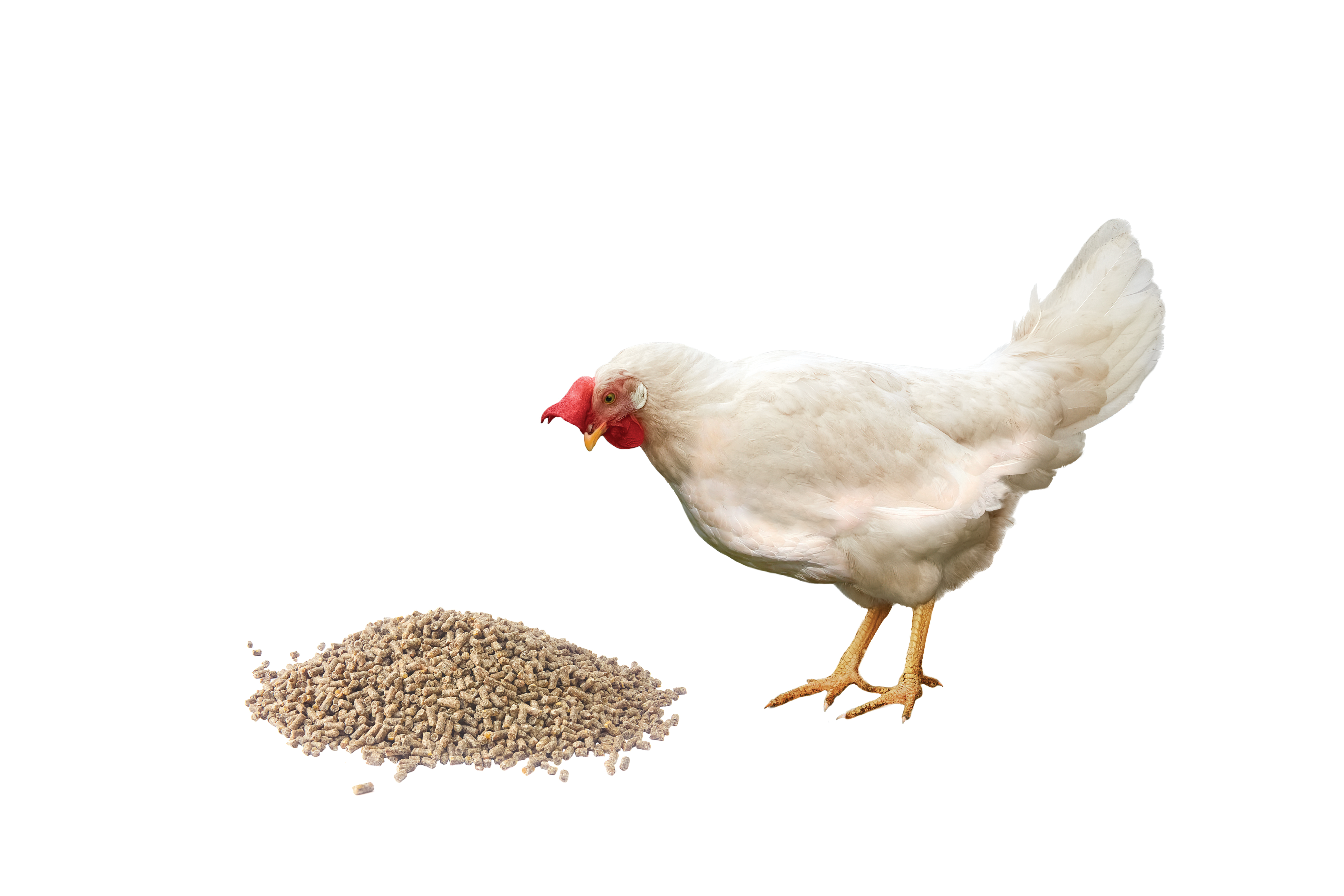 The inputs and outputs that need to be considered in feed formulation have changed.