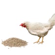 The inputs and outputs that need to be considered in feed formulation have changed.