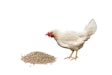 The inputs and outputs that need to be considered in feed formulation have changed.