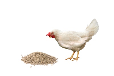 The inputs and outputs that need to be considered in feed formulation have changed.