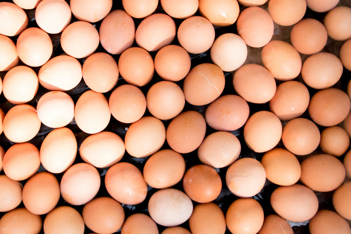 Vietnamese food retailer transitioning to cage-free eggs - Vimarsana News