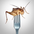 Cricket On Fork