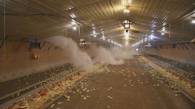 The same poultry house the next morning when the temperature outside fell to 40 F.