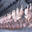 Chicken Processing Line China