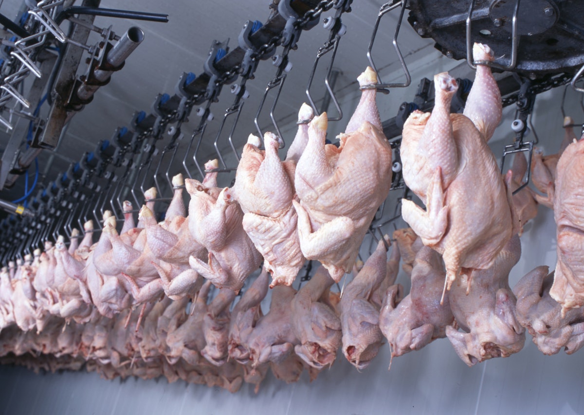 Microdroplets might decrease poultry pathogens Microdroplets might decrease poultry pathogens