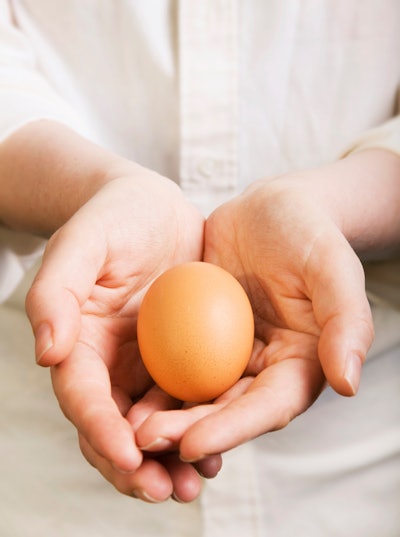 Hands Holding Brown Organic Egg