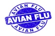 Avian Flu Logo