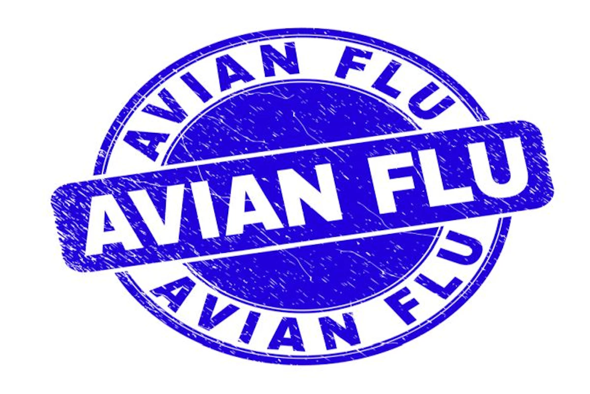More avian flu cases among Central European poultry - Vimarsana News