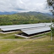 A cage-free poultry farm in Colombia.