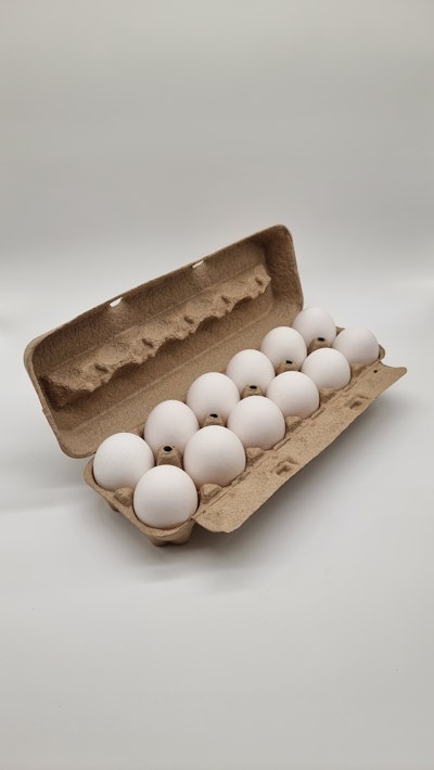 Tekni Plex Fiber Pro Plus Egg Cartons