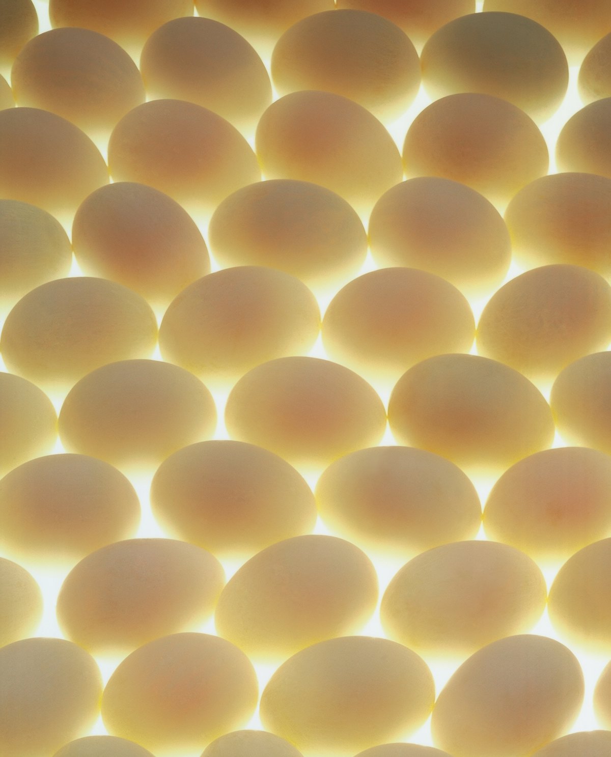 White Eggs Lighted Bkgrnd.65c11016eb40f ?auto=format%2Ccompress&fit=max&q=70&w=1200