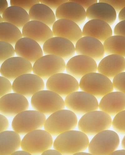 White Eggs Lighted Bkgrnd