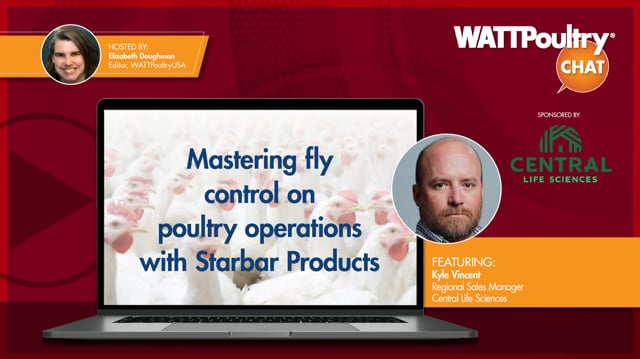 Mastering fly control on poultry operations with Starbar Products ...