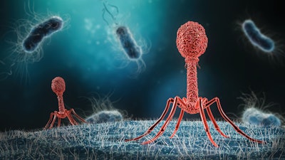 Phage products may mono- or multiphage, the latter offering a broader spectrum of action.