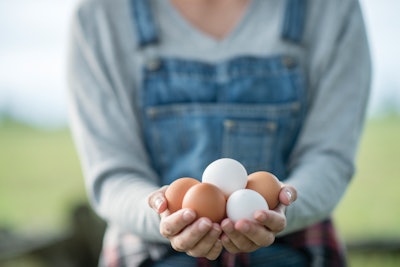 Handle with care – numerous factors must be taken into account to ensure that eggs are produced with high-quality shells.