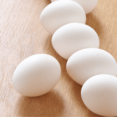 White Eggs In Row