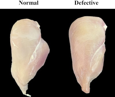 Normal poultry breast compared to woody breast