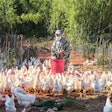 Tudama has committed 90% of company resources to the transition to cage-free egg production.