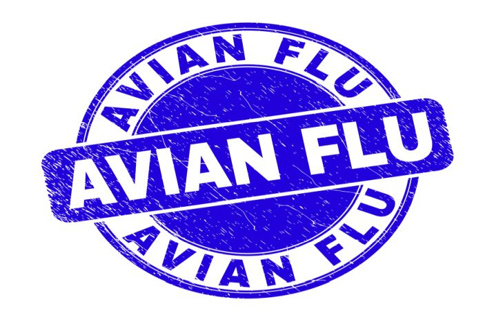 Avian Flu Logo