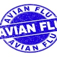 Avian Flu Logo