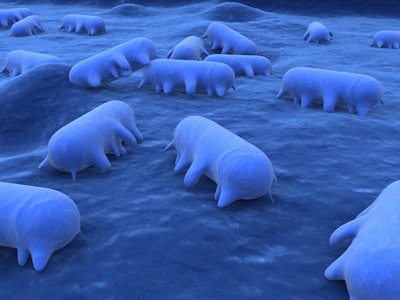 Eraxion Big Stock Photo com Salmonella Bacteria Blues