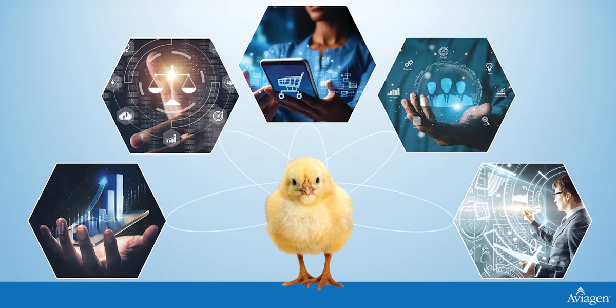Data farming: The foundation of a sustainable future | WATTPoultry.com