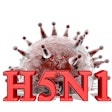 H5 N1 With Virus Image