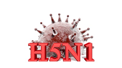 H5 N1 With Virus Image