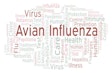 An avian Influenza Word Cloud