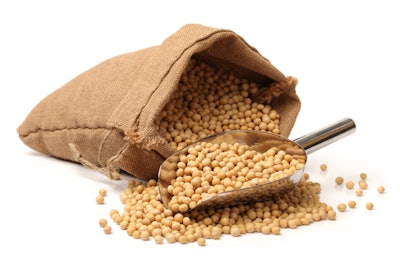 Soybean In Bag With Scoop