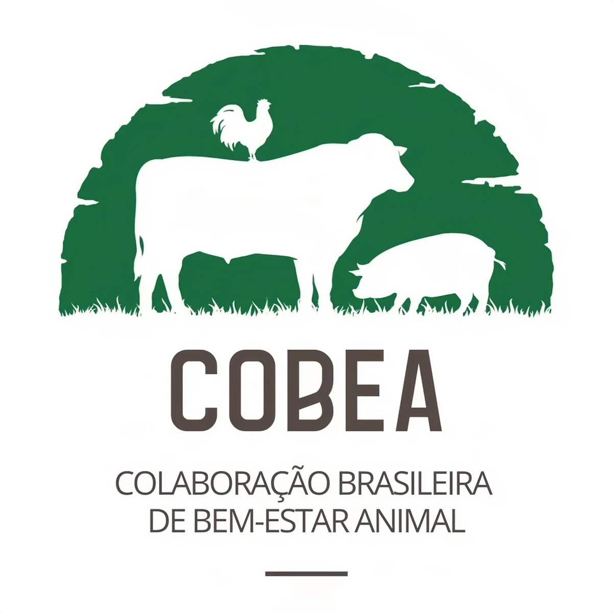 Brazilian meals corporations shape animal welfare grouping