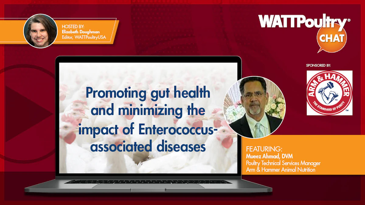 Promoting gut health and minimizing the impact of Enterococcus-associated diseases Promoting gut health and minimizing the impact of Enterococcus-associated diseases