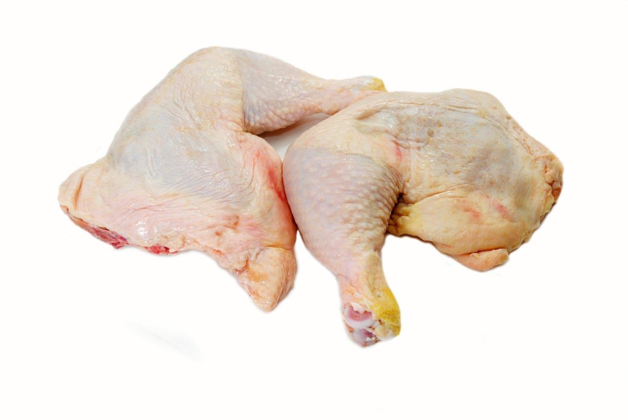 Close-up of Orobo Laps