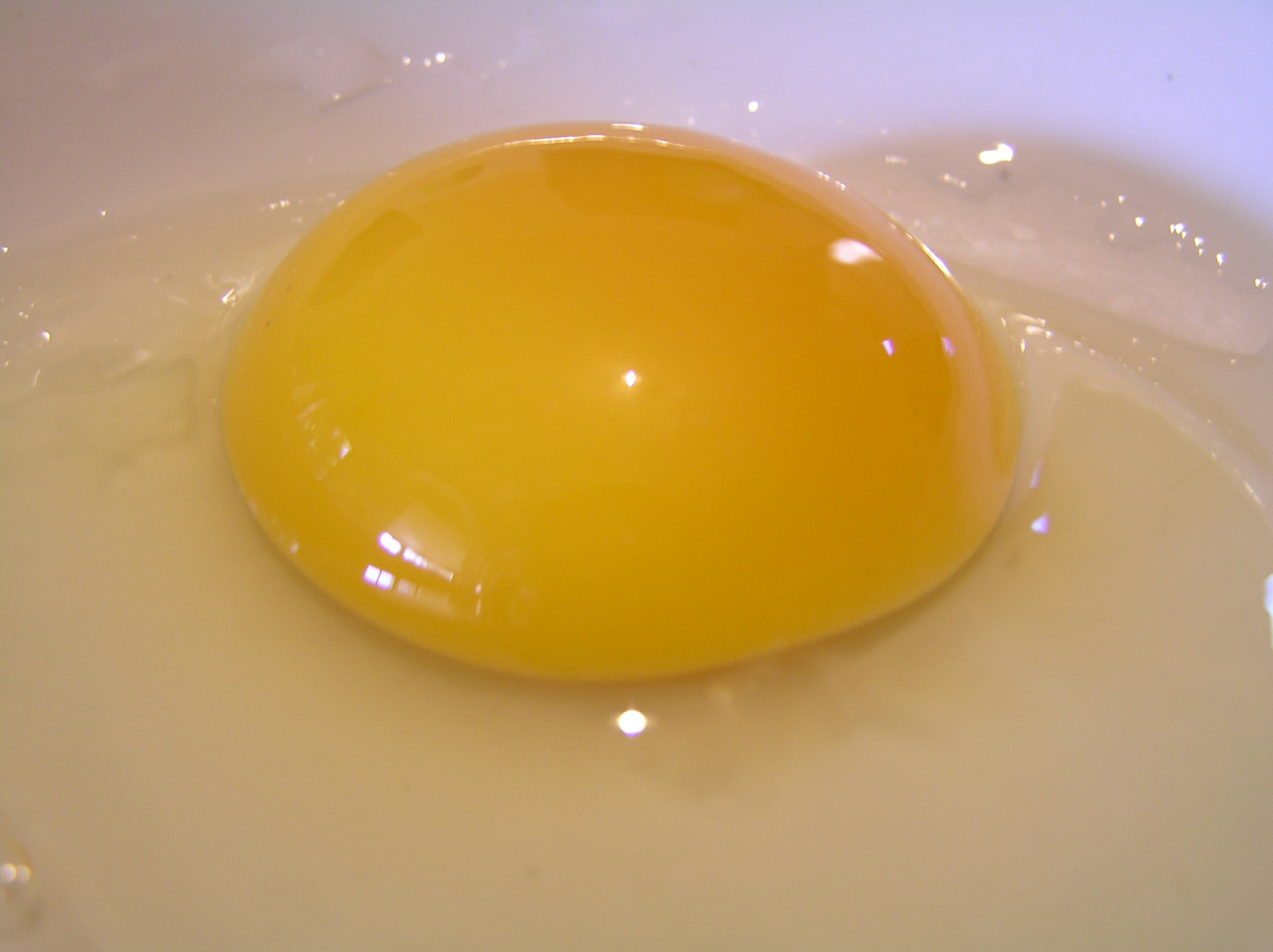 The Home Of Infinity 1403538