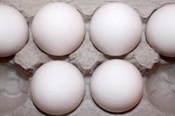 21810346508 454ed3987a C (1)