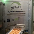 Brown layer hatching eggs being fed into the Cheggy machine