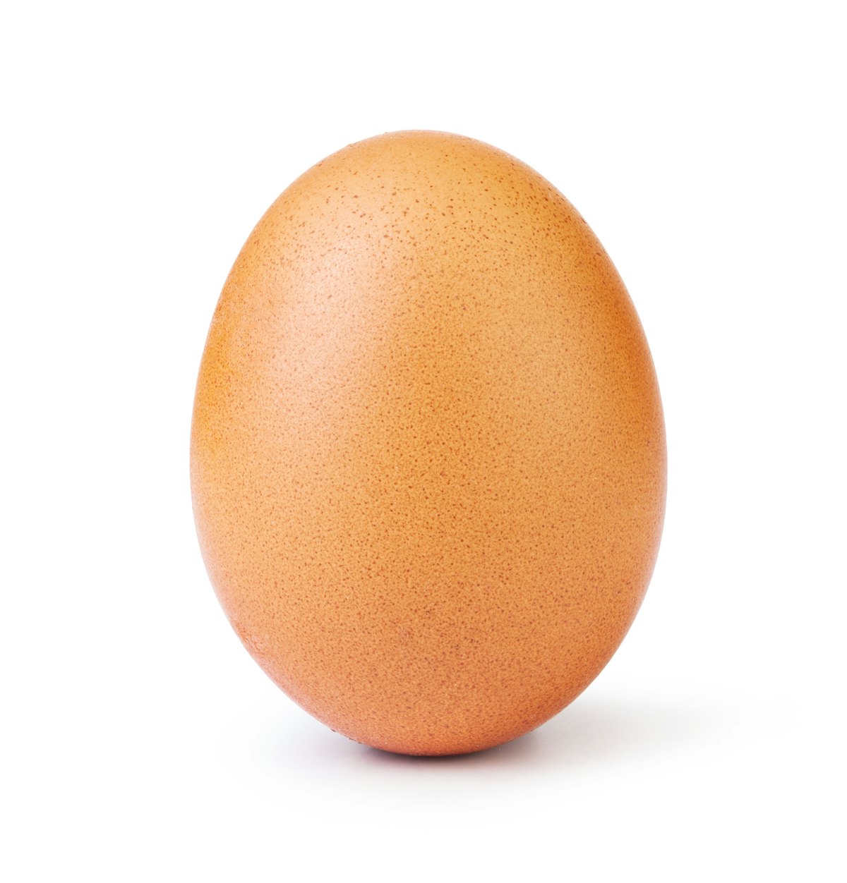 LiNDEN odd eggs リンデン　オッドエッグス　蓄光ver. Large Wooden Egg Box, Fillable for Easter Gifts & Spring