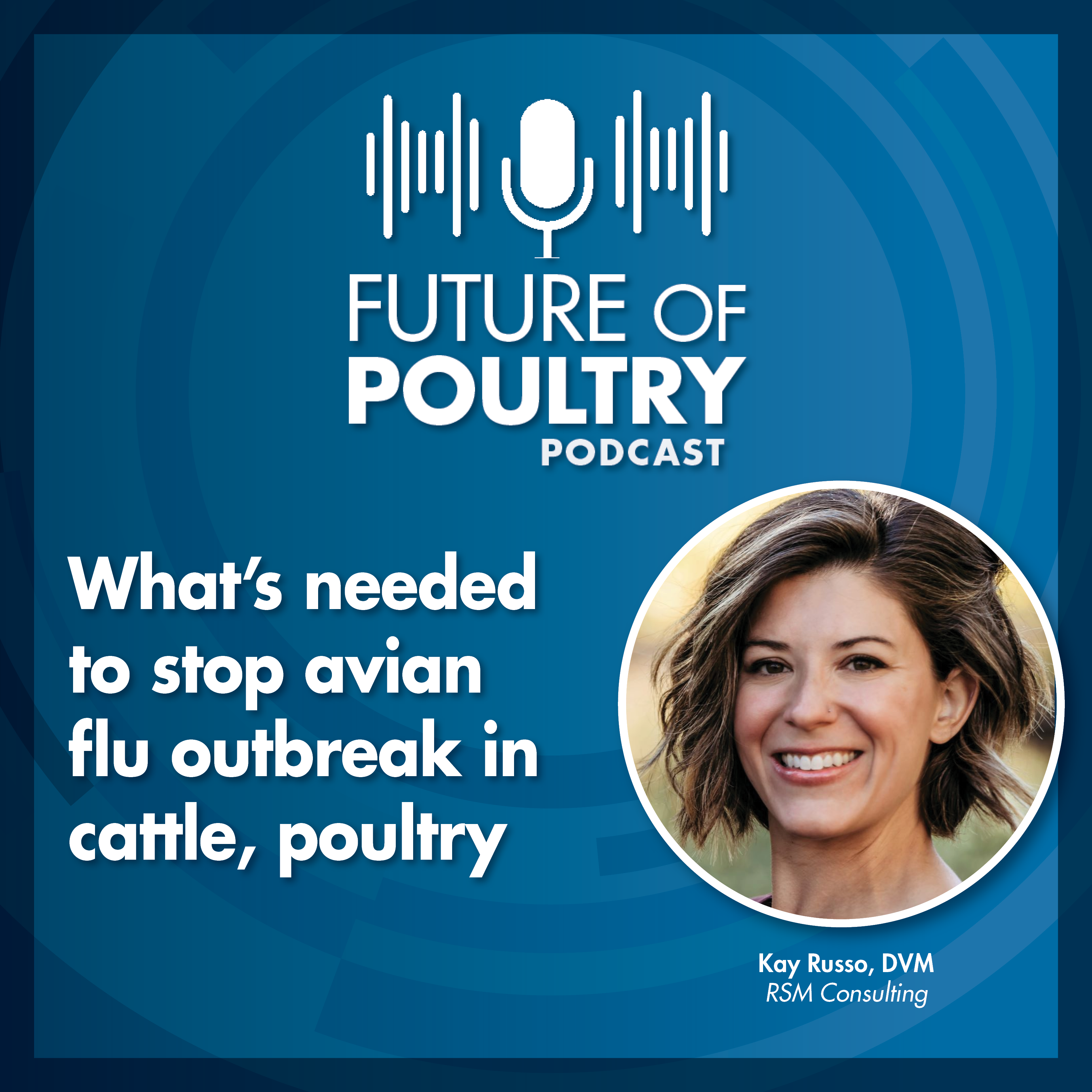 What’s needed to stop avian flu outbreak in cattle, poultry [PODCAST ...