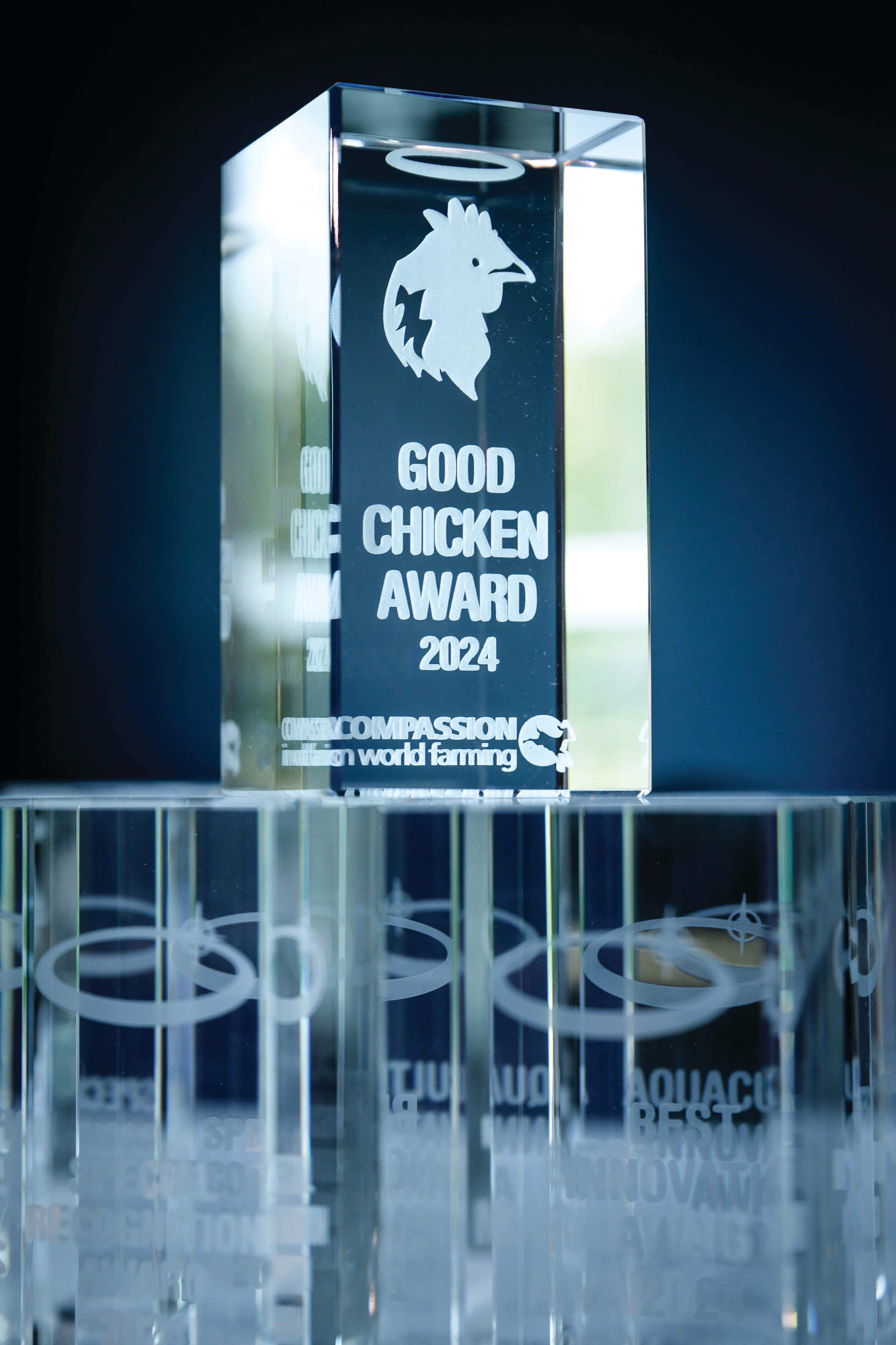 All recipients of this year&rsquo;s Good Chicken Awards were from the U.S.