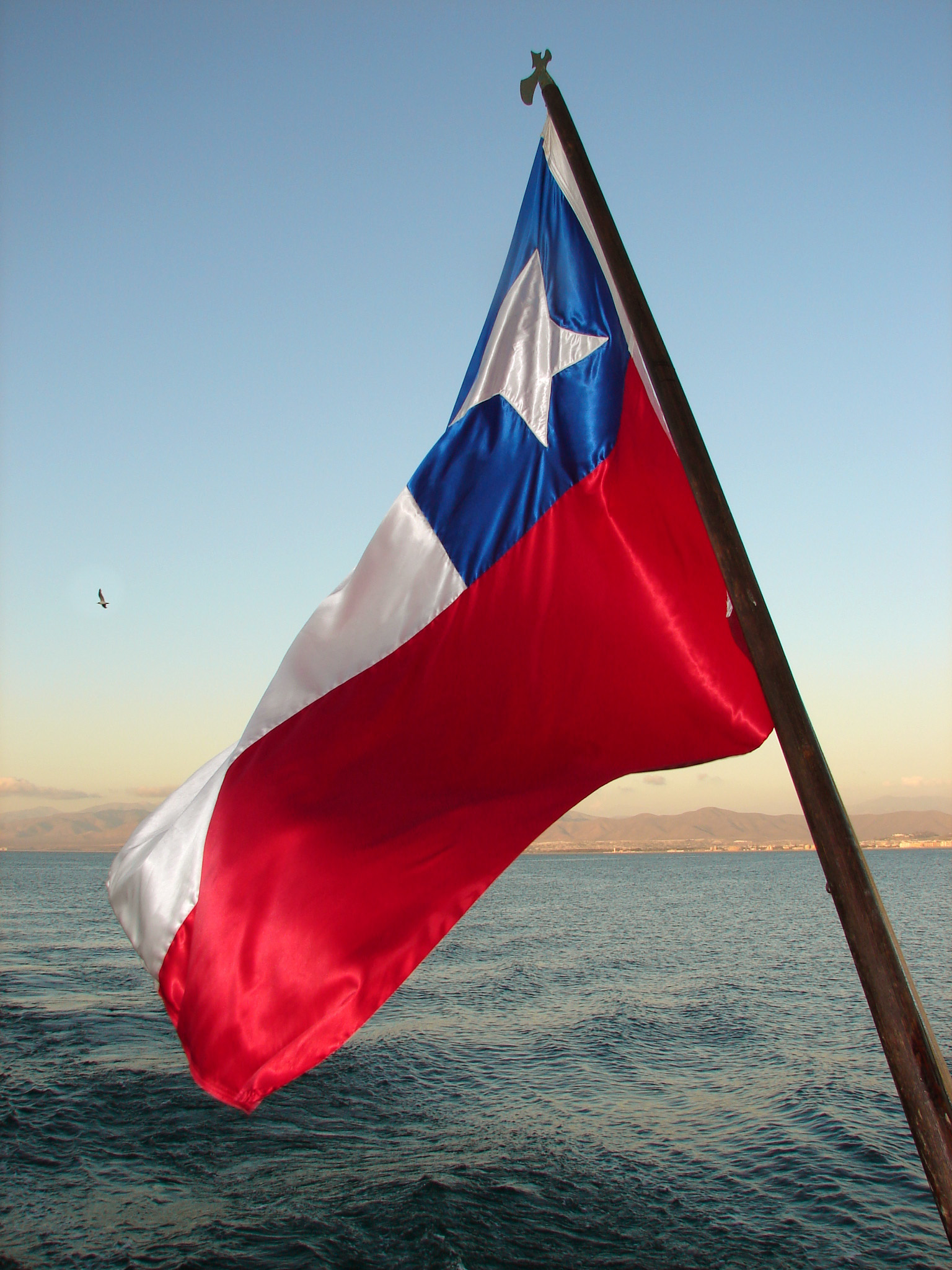 Chilean Flag 1417111
