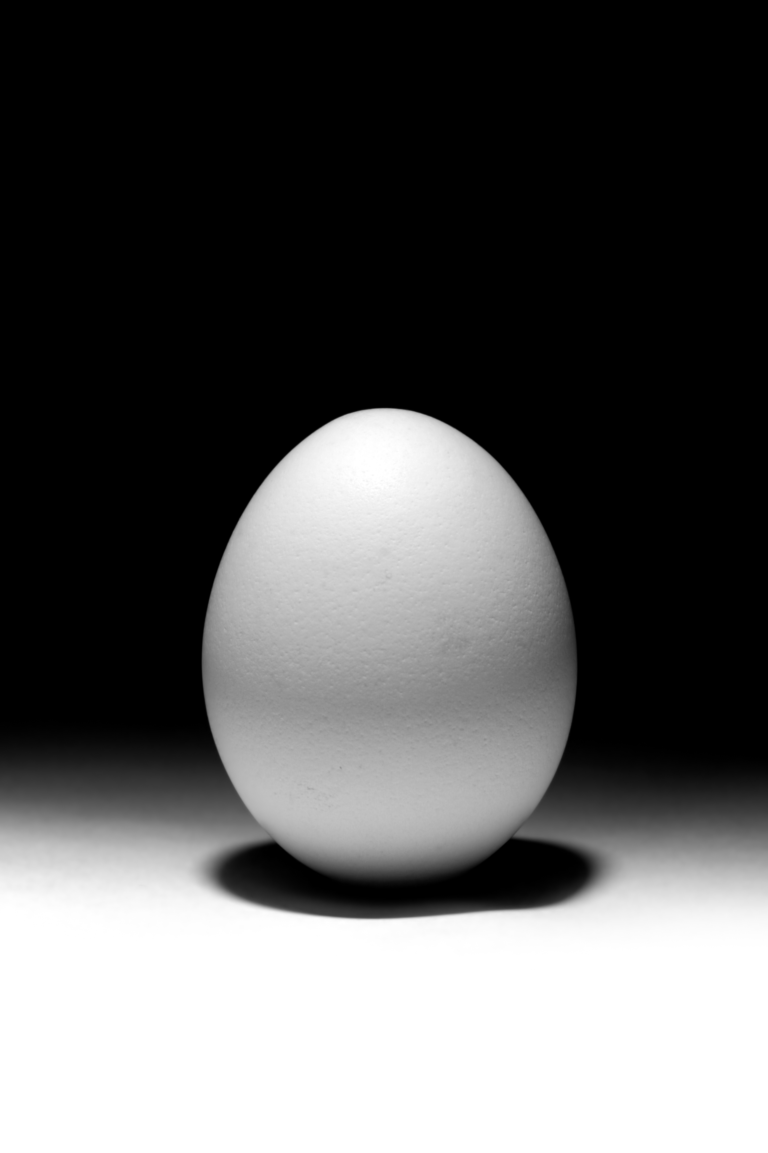 White Egg Black White Bkgrnd