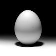White Egg Black White Bkgrnd