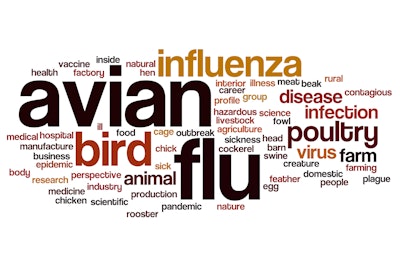 Avian Influenza Word Cloud