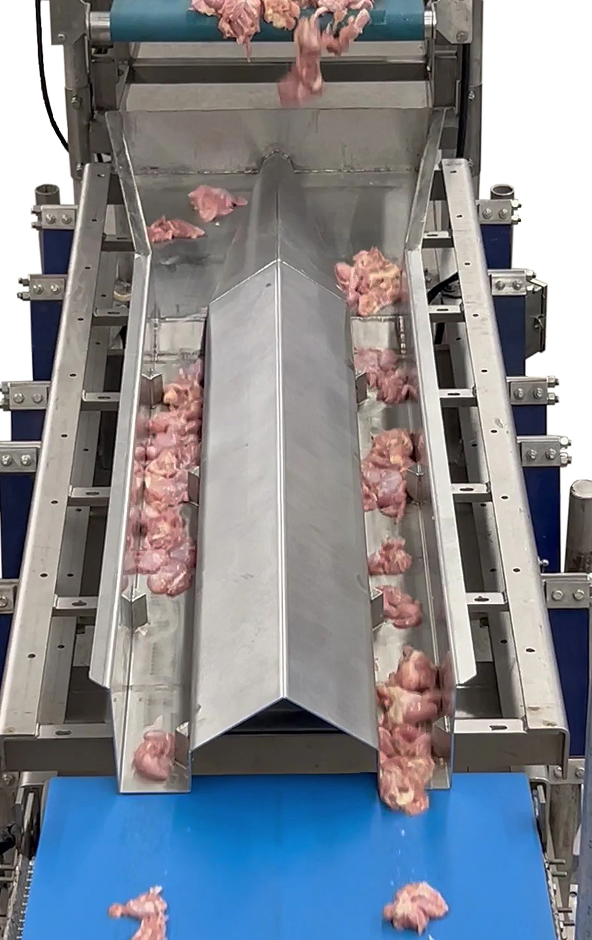 Key Technology vibratory conveying system From: Key Technology ...