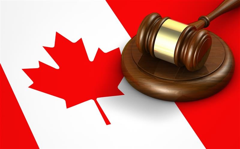 Canadian federal court to rule in HPAI ostrich cull case