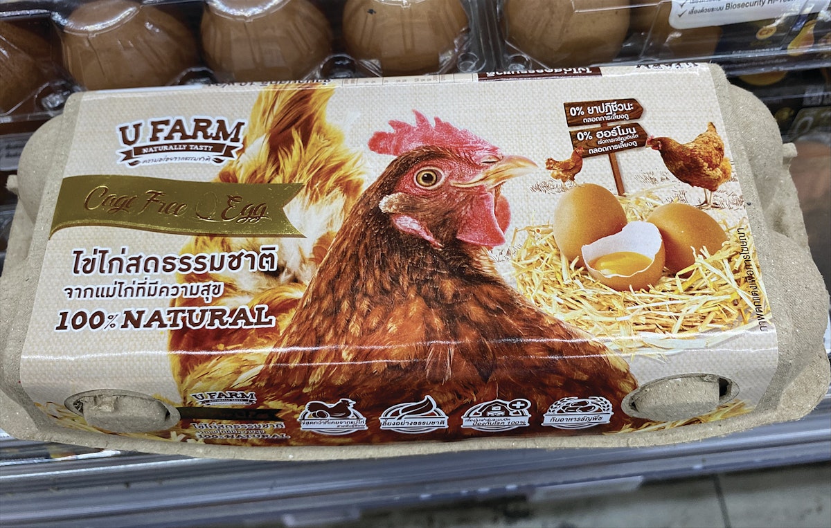 Asia’s poultry sector - many opportunities ahead